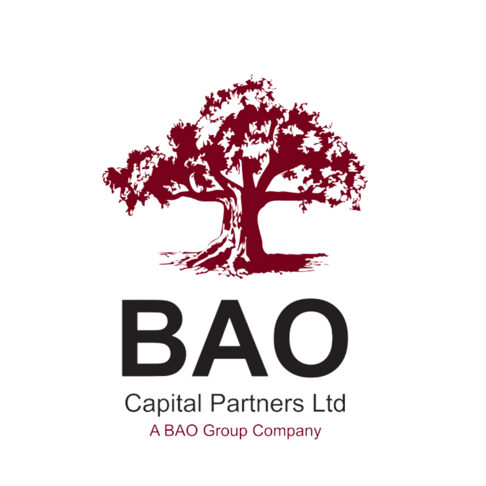 BAO Capital Partners Ltd